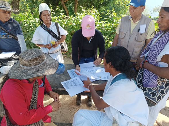 Administración, informes y formatos