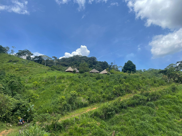 Compra de tierras y topografía