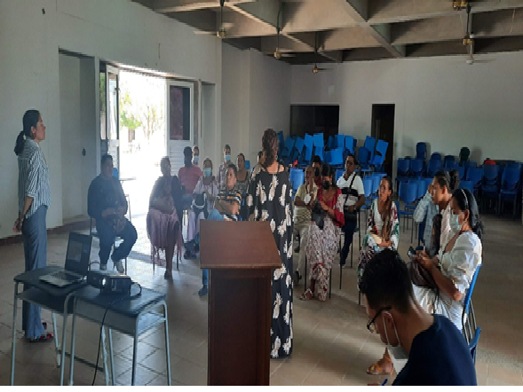 Formulación y supervisión de proyectos